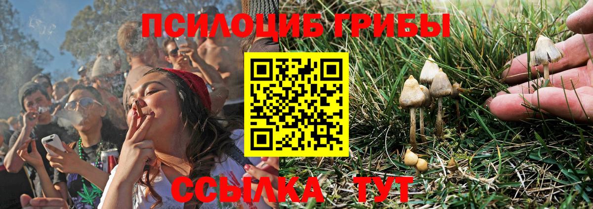 Псилоцибиновые грибы Psilocybe  Псилоцибиновые грибы ЛСД  Дзержинский  Вход с VPN 